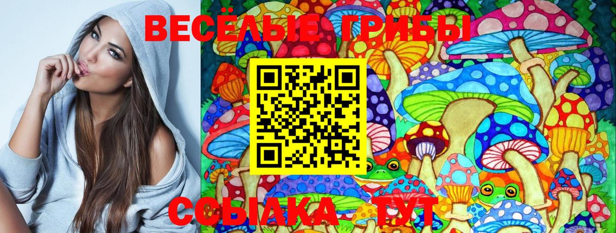 Псилоцибиновые грибы MAGIC MUSHROOMS  Псилоцибиновые грибы GOLDEN TEACHER  Вязники  Вход с VPN 